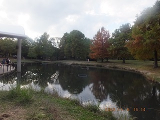 DSCF5017s.jpg