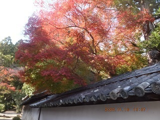 DSCF5058s.jpg